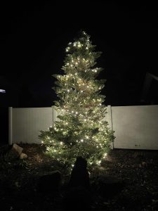 IMG_0847